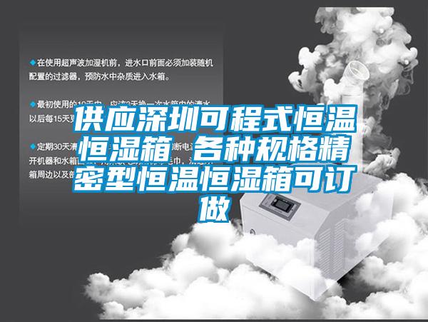 供应深圳可程式恒温恒湿箱 各种规格精密型恒温恒湿箱可订做