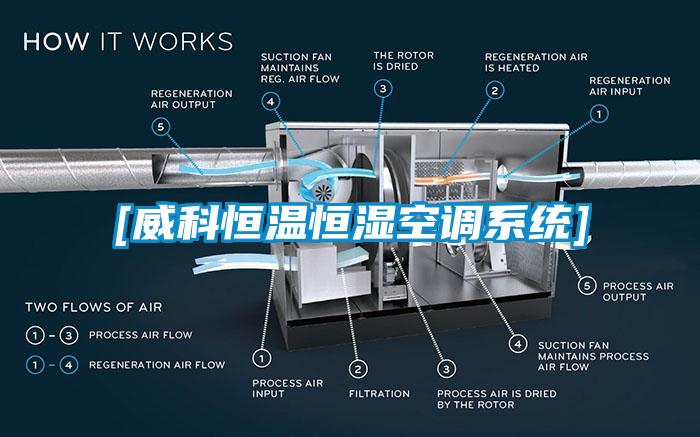 [威科恒温恒湿空调系统]