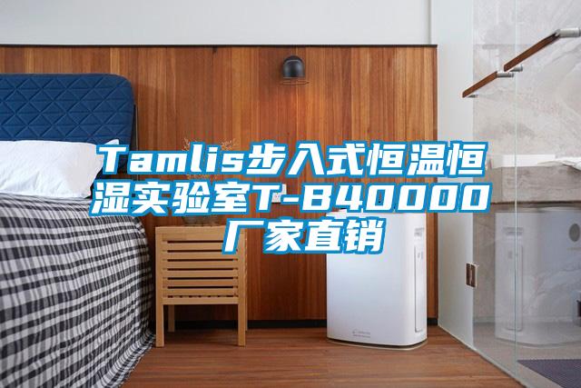 Tamlis步入式恒温恒湿实验室T-B40000 厂家直销