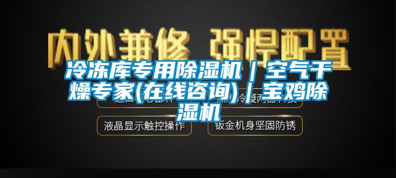 冷冻库专用除湿机｜空气干燥专家(在线咨询)｜宝鸡除湿机