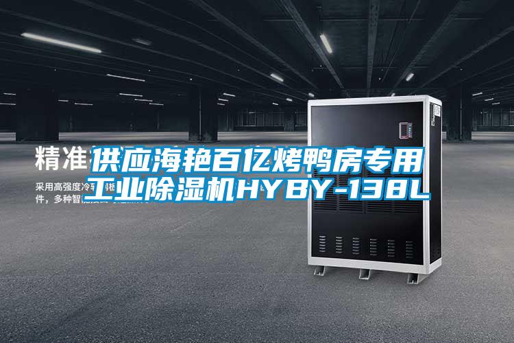 供应海艳百亿烤鸭房专用工业除湿机HYBY-138L