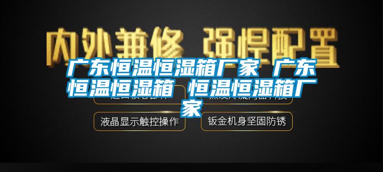 广东恒温恒湿箱厂家 广东恒温恒湿箱 恒温恒湿箱厂家