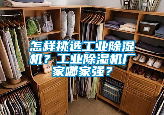 怎样挑选工业除湿机？工业除湿机厂家哪家强？