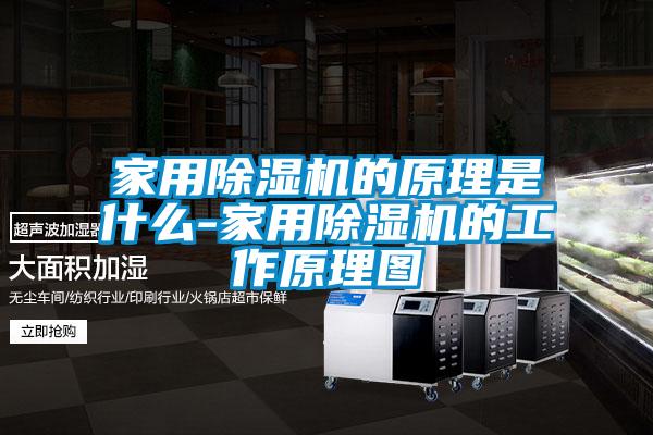 家用除湿机的原理是什么-家用除湿机的工作原理图