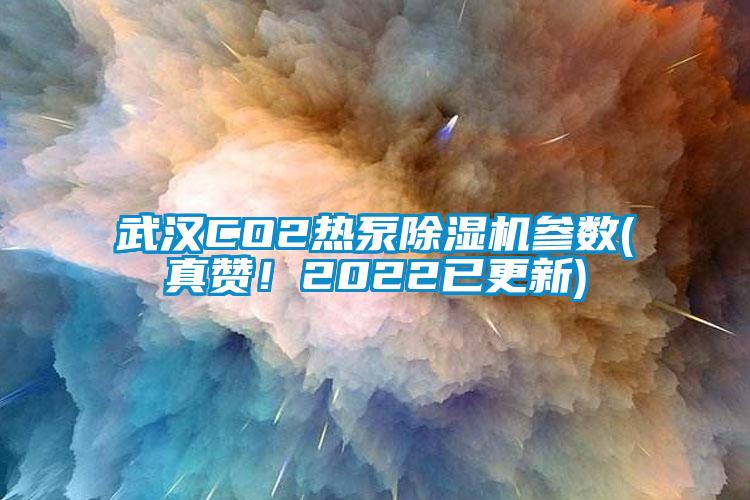 武汉CO2热泵除湿机参数(真赞！2022已更新)