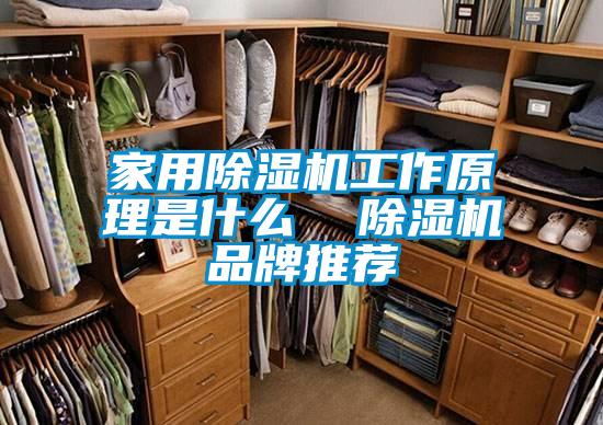 家用除湿机工作原理是什么  除湿机品牌推荐