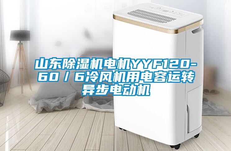 山东除湿机电机YYF120-60／6冷风机用电容运转异步电动机