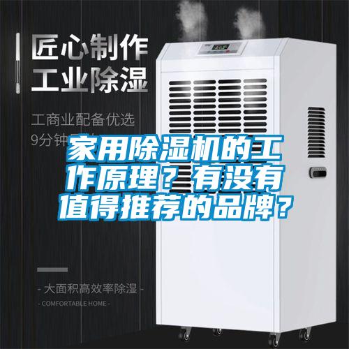 家用除湿机的工作原理？有没有值得推荐的品牌？