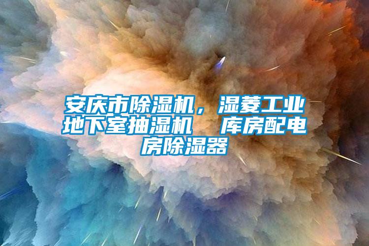 安庆市除湿机，湿菱工业地下室抽湿机  库房配电房除湿器