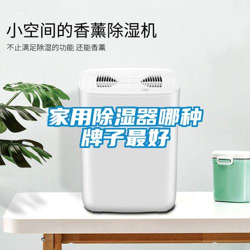 家用除湿器哪种牌子最好