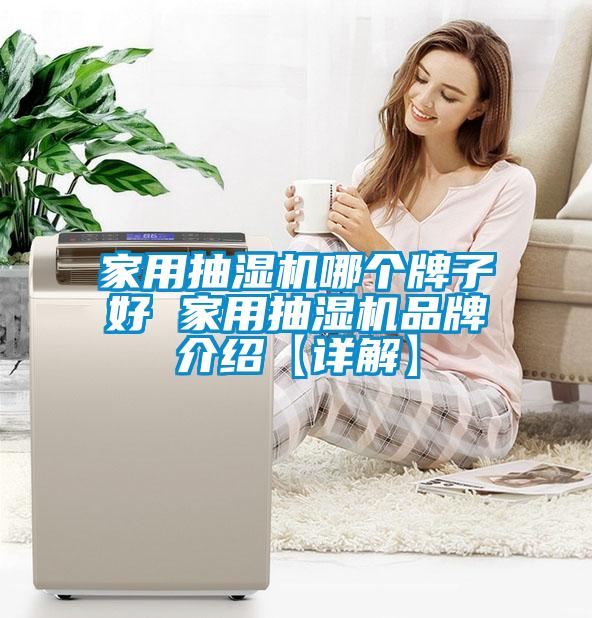 家用抽湿机哪个牌子好 家用抽湿机品牌介绍【详解】