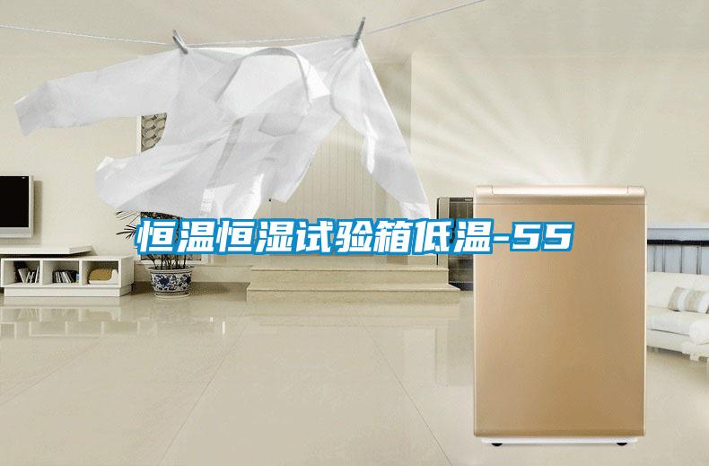 恒温恒湿试验箱低温-55℃