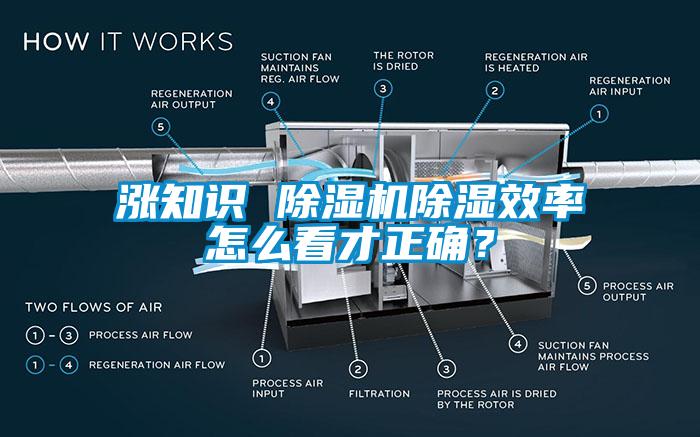 涨知识 除湿机除湿效率怎么看才正确？