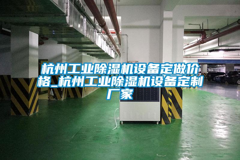 杭州工业除湿机设备定做价格_杭州工业除湿机设备定制厂家