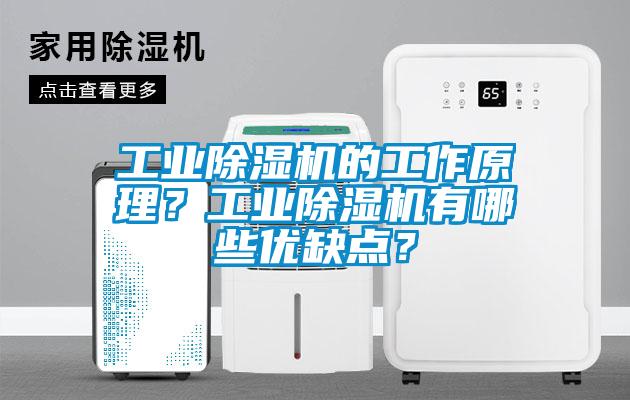 工业除湿机的工作原理？工业除湿机有哪些优缺点？