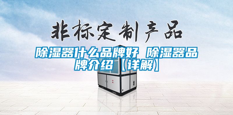 除湿器什么品牌好 除湿器品牌介绍【详解】