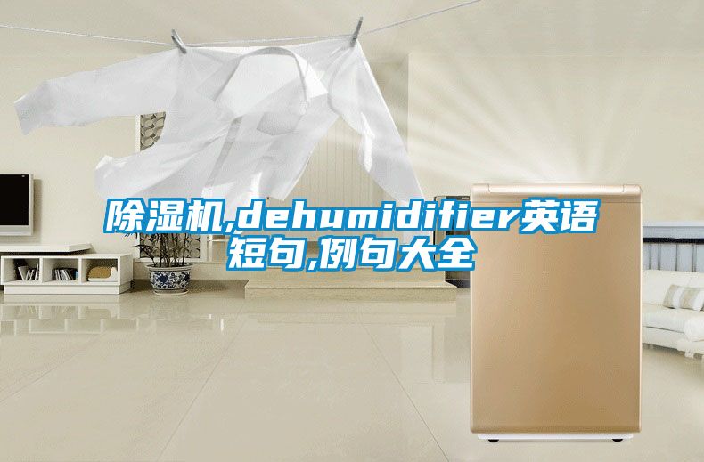 除湿机,dehumidifier英语短句,例句大全