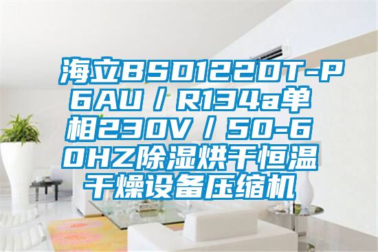 海立BSD122DT-P6AU／R134a单相230V／50-60HZ除湿烘干恒温干燥设备压缩机