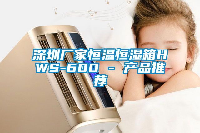 深圳厂家恒温恒湿箱HWS-600 - 产品推荐