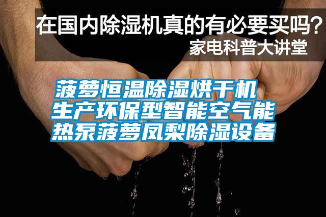 菠萝恒温除湿烘干机 生产环保型智能空气能热泵菠萝凤梨除湿设备