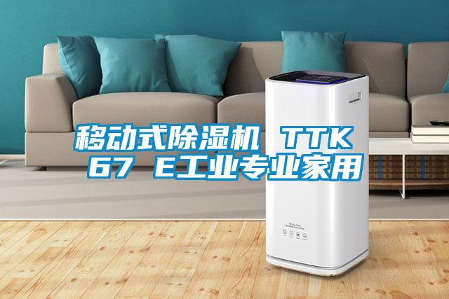 移动式除湿机 TTK 67 E工业专业家用