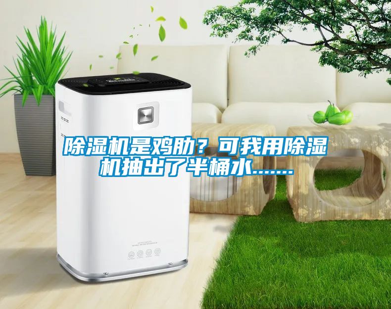 除湿机是鸡肋？可我用除湿机抽出了半桶水.......