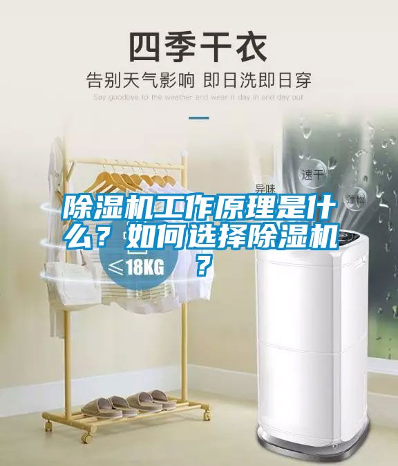 除湿机工作原理是什么？如何选择除湿机？