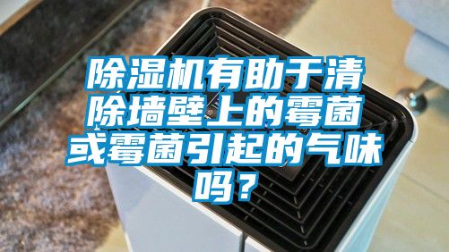 除湿机有助于清除墙壁上的霉菌或霉菌引起的气味吗？