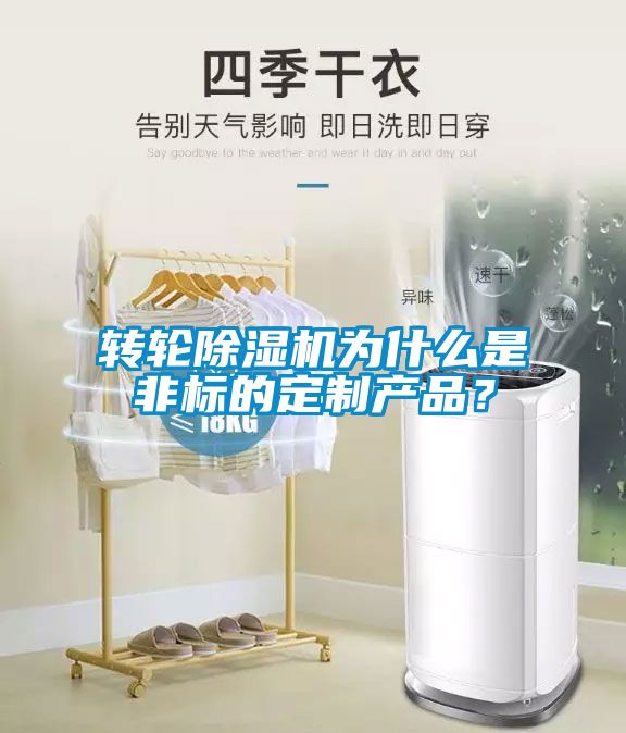 转轮除湿机为什么是非标的定制产品？