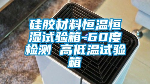 硅胶材料恒温恒湿试验箱-60度检测 高低温试验箱