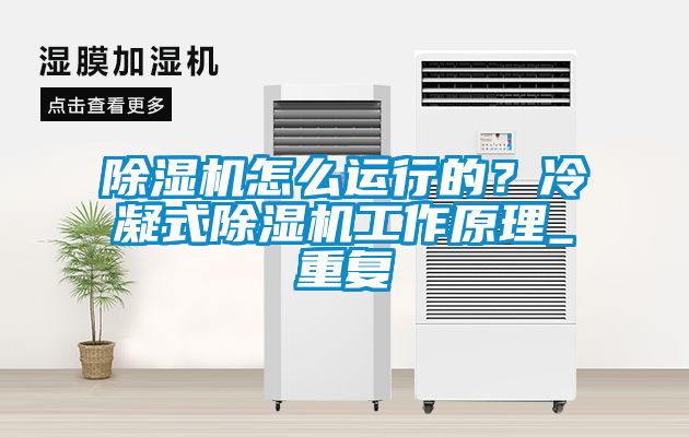 除湿机怎么运行的？冷凝式除湿机工作原理_重复