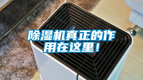 除湿机真正的作用在这里！