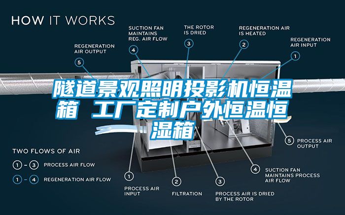 隧道景观照明投影机恒温箱 工厂定制户外恒温恒湿箱