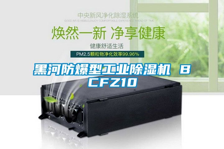 黑河防爆型工业除湿机 BCFZ10